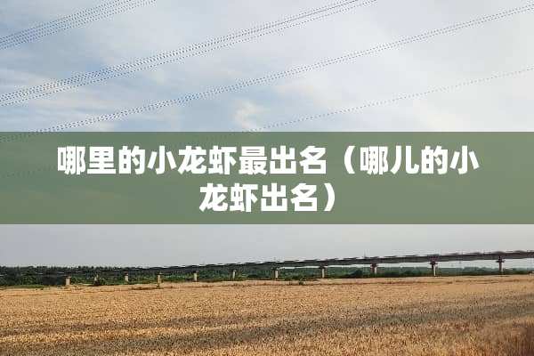 哪里的小龙虾最出名（哪儿的小龙虾出名）