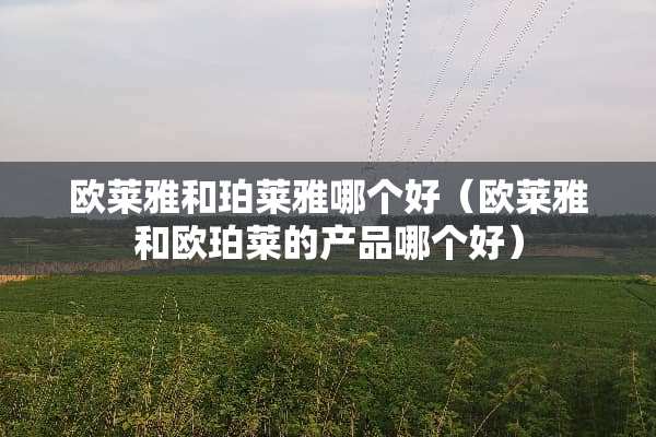 欧莱雅和珀莱雅哪个好（欧莱雅和欧珀莱的产品哪个好）