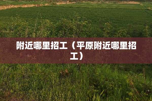 附近哪里招工（平原附近哪里招工）