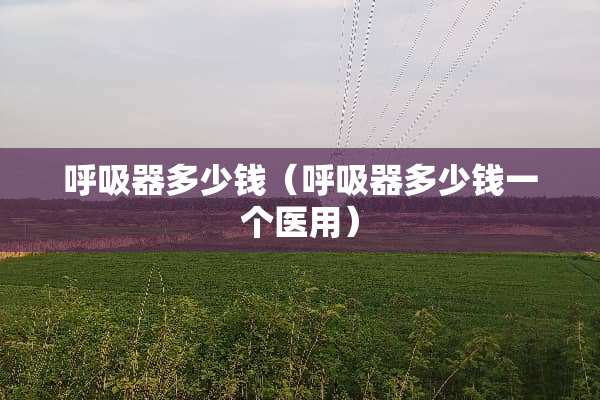 呼吸器多少钱（呼吸器多少钱一个医用）