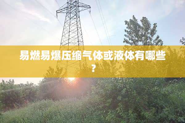 易燃易爆压缩气体或液体有哪些？