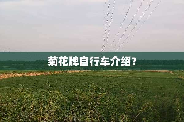菊花牌自行车介绍？