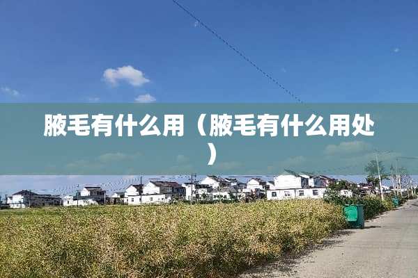 腋毛有什么用（腋毛有什么用处）