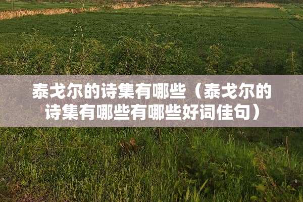 泰戈尔的诗集有哪些（泰戈尔的诗集有哪些有哪些好词佳句）