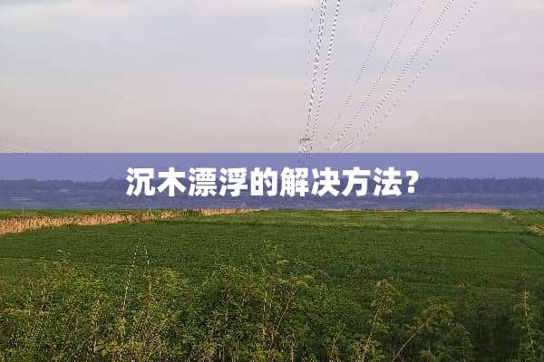 沉木漂浮的解决方法？