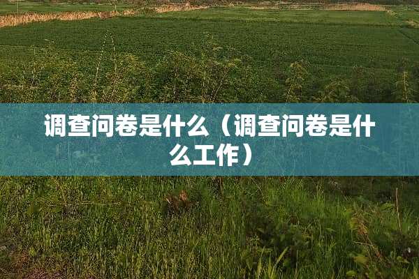 调查问卷是什么（调查问卷是什么工作）