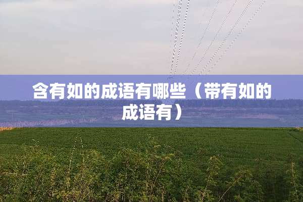 含有如的成语有哪些（带有如的成语有）