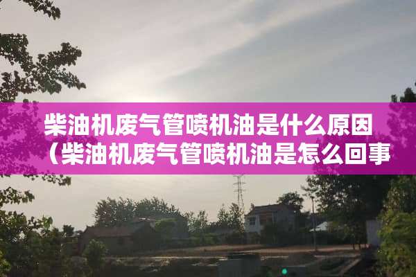 柴油机废气管喷机油是什么原因（柴油机废气管喷机油是怎么回事）