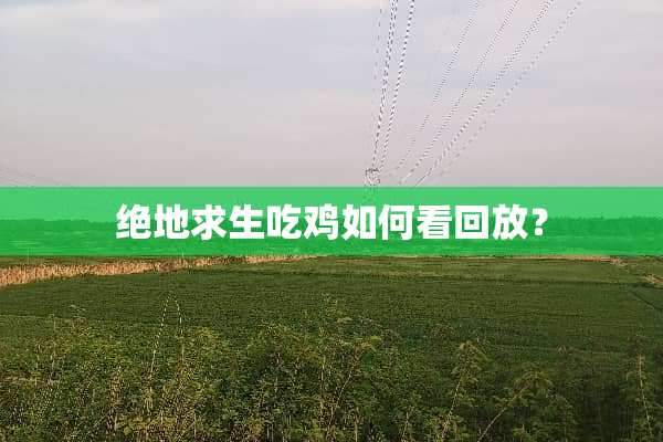绝地求生吃鸡如何看回放？