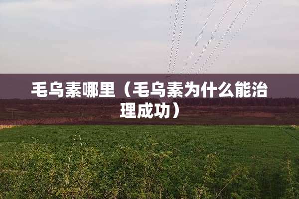 毛乌素哪里（毛乌素为什么能治理成功）