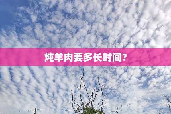 炖羊肉要多长时间？