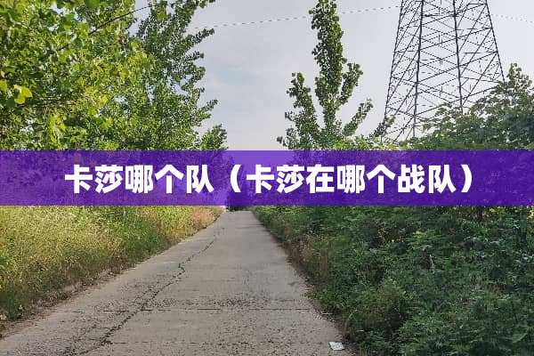 卡莎哪个队（卡莎在哪个战队）
