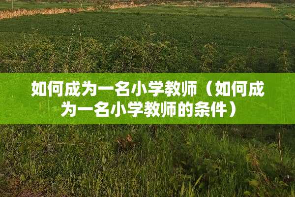 如何成为一名小学教师（如何成为一名小学教师的条件）