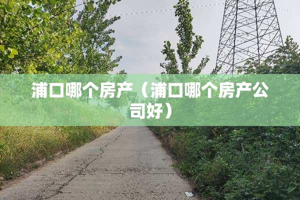 浦口哪个房产（浦口哪个房产公司好）