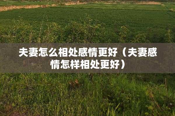 夫妻怎么相处感情更好（夫妻感情怎样相处更好）