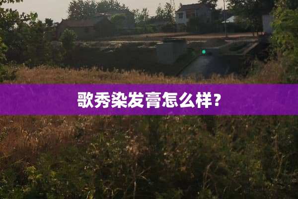 歌秀染发膏怎么样？