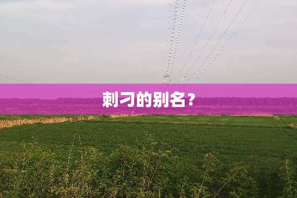 刺刁的别名？