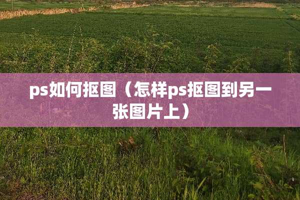 ps如何抠图（怎样ps抠图到另一张图片上）