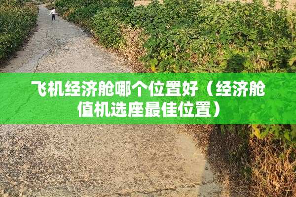 飞机经济舱哪个位置好（经济舱值机选座最佳位置）