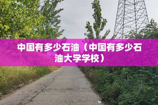 中国有多少石油（中国有多少石油大学学校）