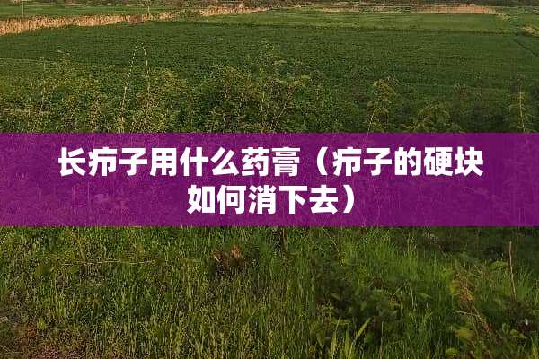 长疖子用什么药膏（疖子的硬块如何消下去）