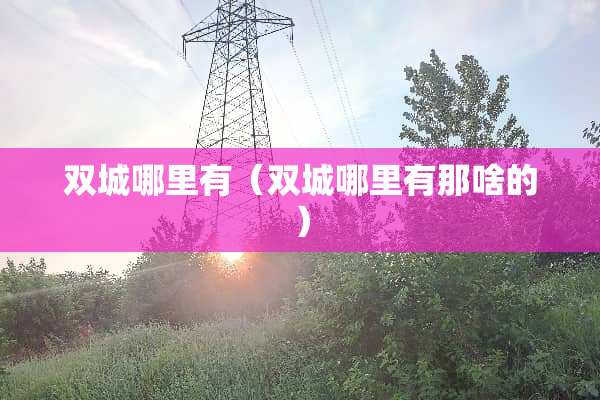双城哪里有（双城哪里有那啥的）