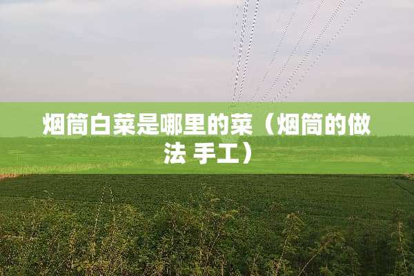 烟筒白菜是哪里的菜（烟筒的做法 手工）