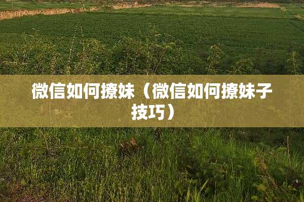 微信如何撩妹（微信如何撩妹子技巧）