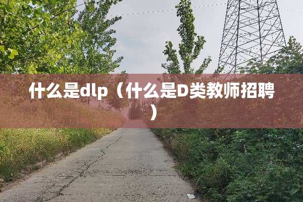 什么是dlp（什么是D类教师招聘）