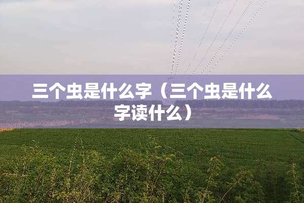 三个虫是什么字（三个虫是什么字读什么）