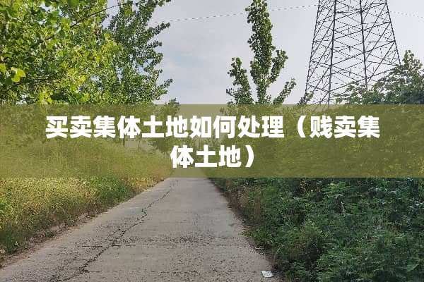 买卖集体土地如何处理（贱卖集体土地）