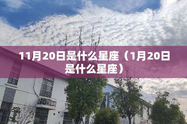 11月20日是什么星座（1月20日是什么星座）
