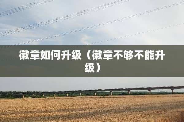 徽章如何升级（徽章不够不能升级）