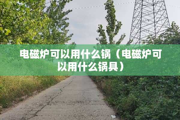 电磁炉可以用什么锅（电磁炉可以用什么锅具）