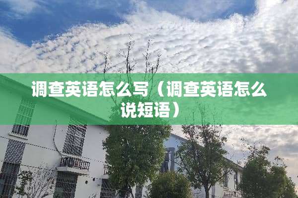 调查英语怎么写（调查英语怎么说短语）