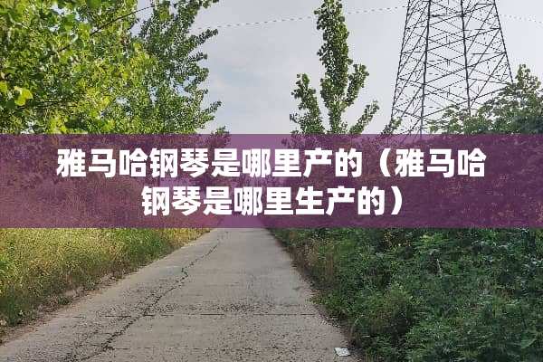 ***钢琴是哪里产的（***钢琴是哪里生产的）