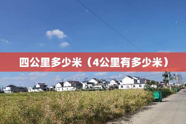 四公里多少米（4公里有多少米）