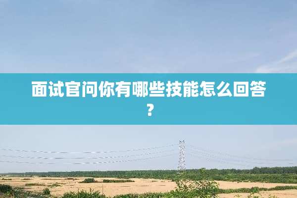面试官问你有哪些技能怎么回答？