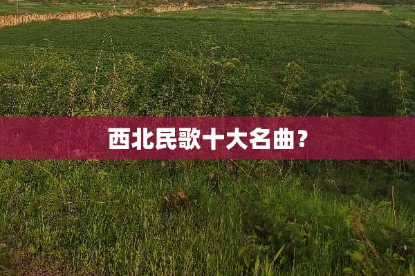 西北民歌十大名曲？
