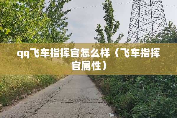 qq飞车指挥官怎么样（飞车指挥官属性）