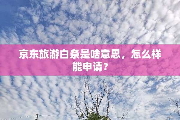 京东旅游白条是啥意思，怎么样能申请？