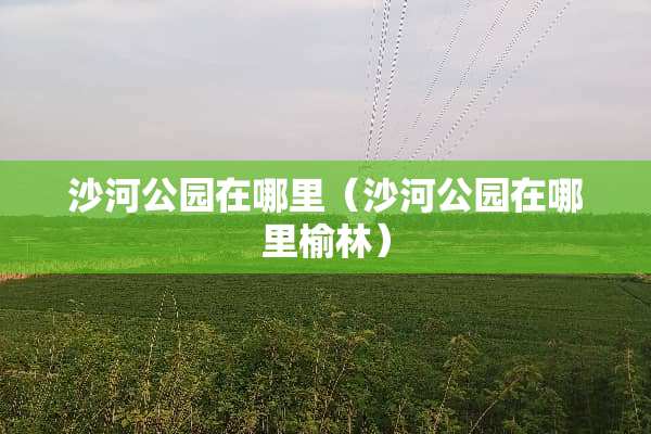 沙河公园在哪里（沙河公园在哪里榆林）
