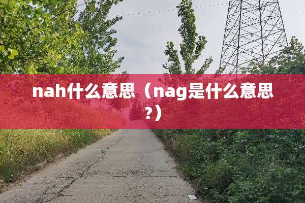 nah什么意思（nag是什么意思?）