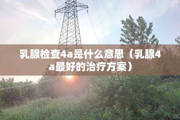*腺检查4a是什么意思（*腺4a最好的治疗方案）