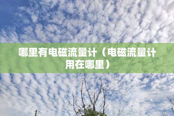 哪里有电磁流量计（电磁流量计用在哪里）