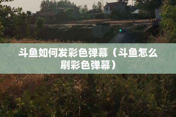 斗鱼如何发彩色弹幕（斗鱼怎么刷彩色弹幕）
