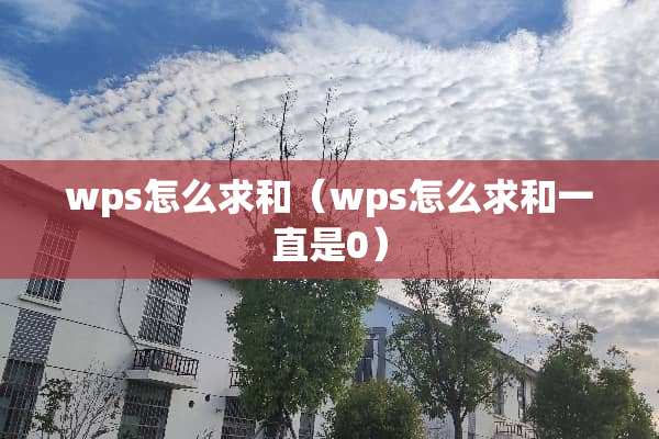 wps怎么求和（wps怎么求和一直是0）