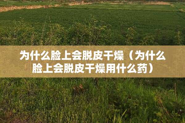 为什么脸上会脱皮干燥（为什么脸上会脱皮干燥用什么药）