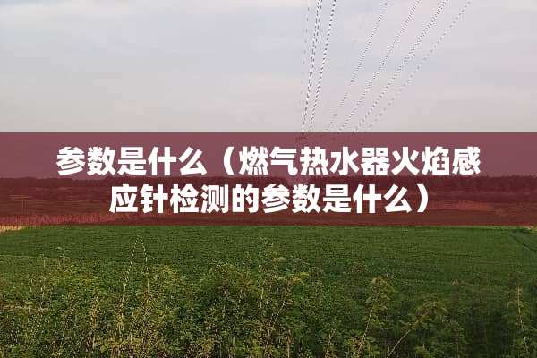 参数是什么（燃气热水器火焰感应针检测的参数是什么）