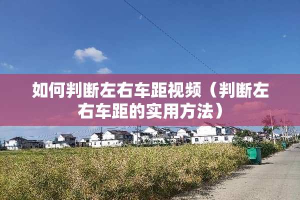 如何判断左右车距视频（判断左右车距的实用方法）